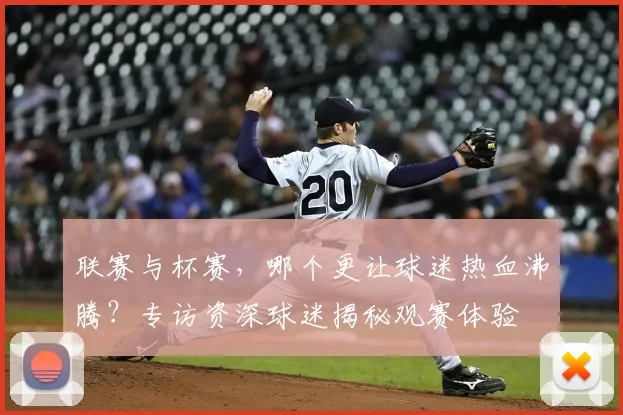 联赛与杯赛,哪个更让球迷热血沸腾?专访资深球迷揭秘观赛体验