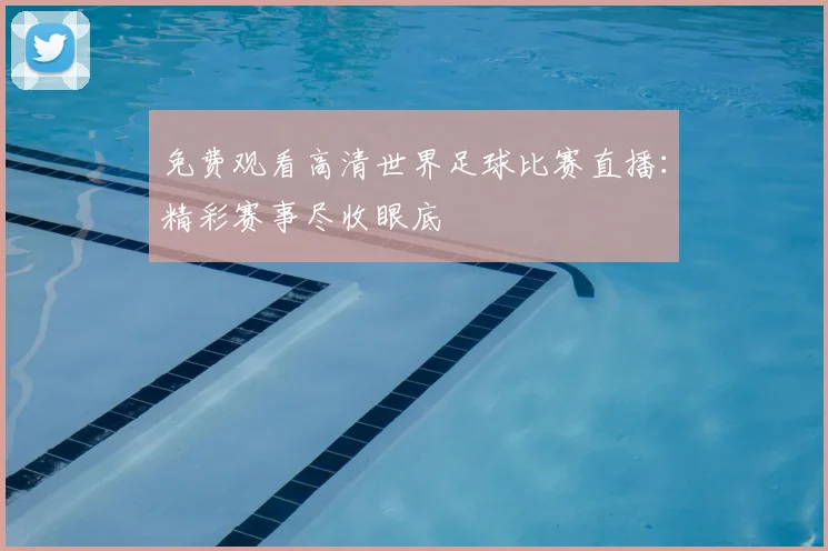 免费观看高清世界足球比赛直播：精彩赛事尽收眼底