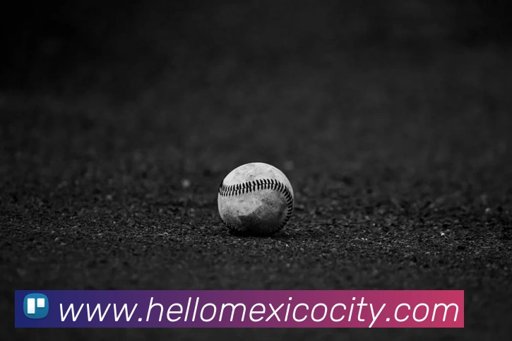 开元体育APP 封面图